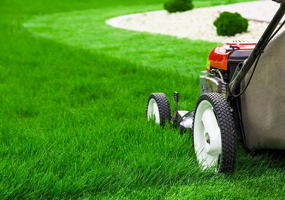 SoClean Gardening Services Grass Cutting SoClean Gardening Services Grass Cutting