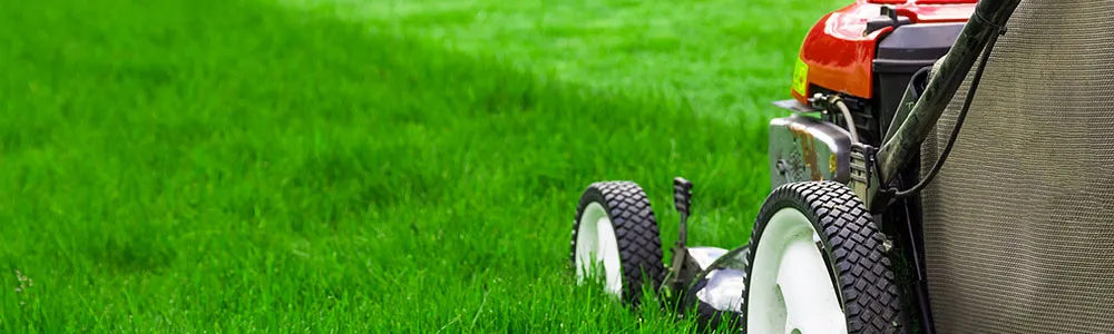 SoClean Gardening Services Grass Cutting SoClean Gardening Services Grass Cutting